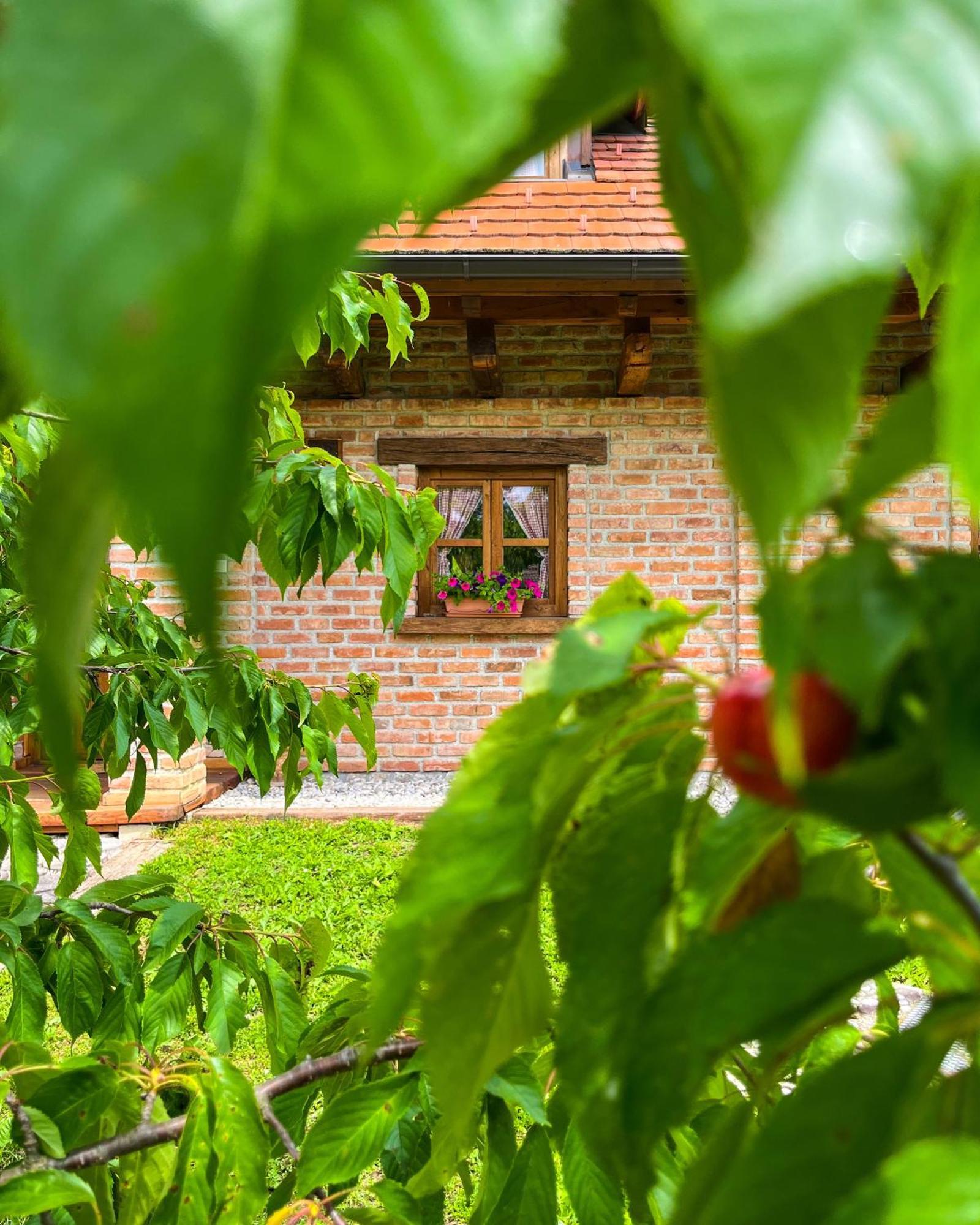 Villa Kuca Za Odmor Zagorka